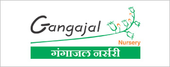 gangajal-logo